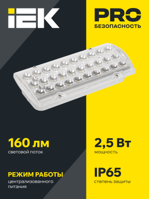 Светильник аварийный ДПА 2101-С централизованного питания 24/220В IP20