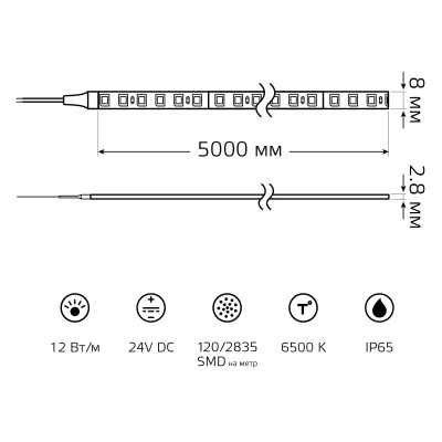 Лента светодиодная 12 Вт/м DC 24В 6500К IP65 120LED SMD2835 1400 лм/м Black Gauss
