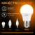 Лампа светодиодная LED 12 Вт 1150 лм 3000К А60 груша теплый E27 AC 220В Black Gauss