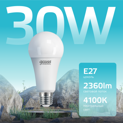 Лампа светодиодная LED 30 Вт 2360 лм 4100К А67 груша нейтральный E27 AC 220В Elementary Gauss