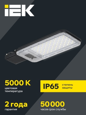 Светильник светодиодный консольный ДКУ 1011-100Ш 5000К IP65