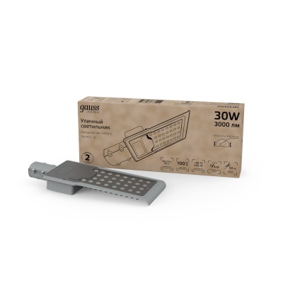 Светильник уличный консольный ДКУ 30 Вт 3000 лм 5000К AC 220В IP65 316х130х57мм широкая КСС Ш Avenue Gauss