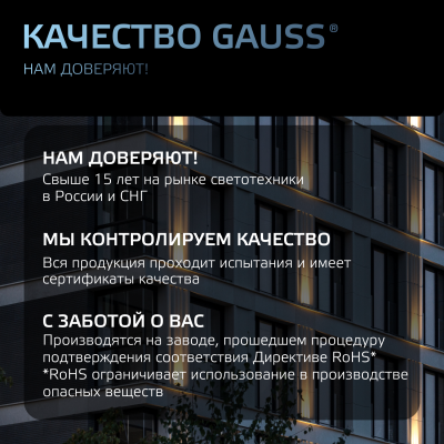 Прожектор светодиодный ДО 100 Вт 12000 лм 6500К AC 220В IP65 210х32х283мм матрированное закаленное стекло Qplus Gauss