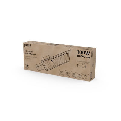 Светильник уличный консольный ДКУ 100 Вт 10000 лм 5000К AC 220В IP65 420х160х57мм широкая КСС Ш Avenue Gauss