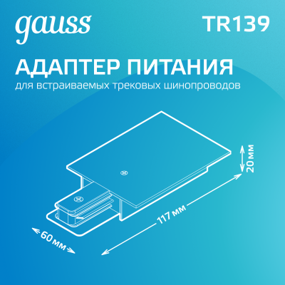 Адаптер питания для подключения трековых шинопроводов к сети AC 220В Черный IP20 Track Gauss