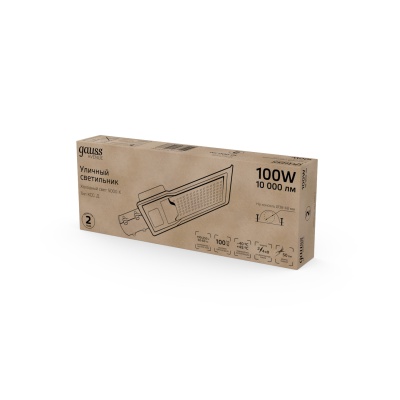 Светильник уличный консольный ДКУ 100 Вт 10000 лм 5000К AC 220В IP65 420х160х57мм косинусная КСС Д Avenue Gauss