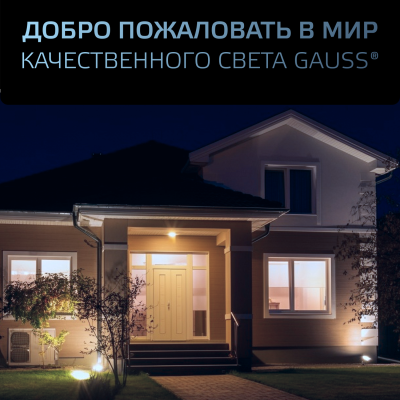 Прожектор светодиодный ДО 100 Вт 12000 лм 6500К AC 220В IP65 210х32х283мм матрированное закаленное стекло Qplus Gauss